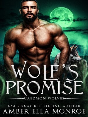 cover image of Wolf's Promise